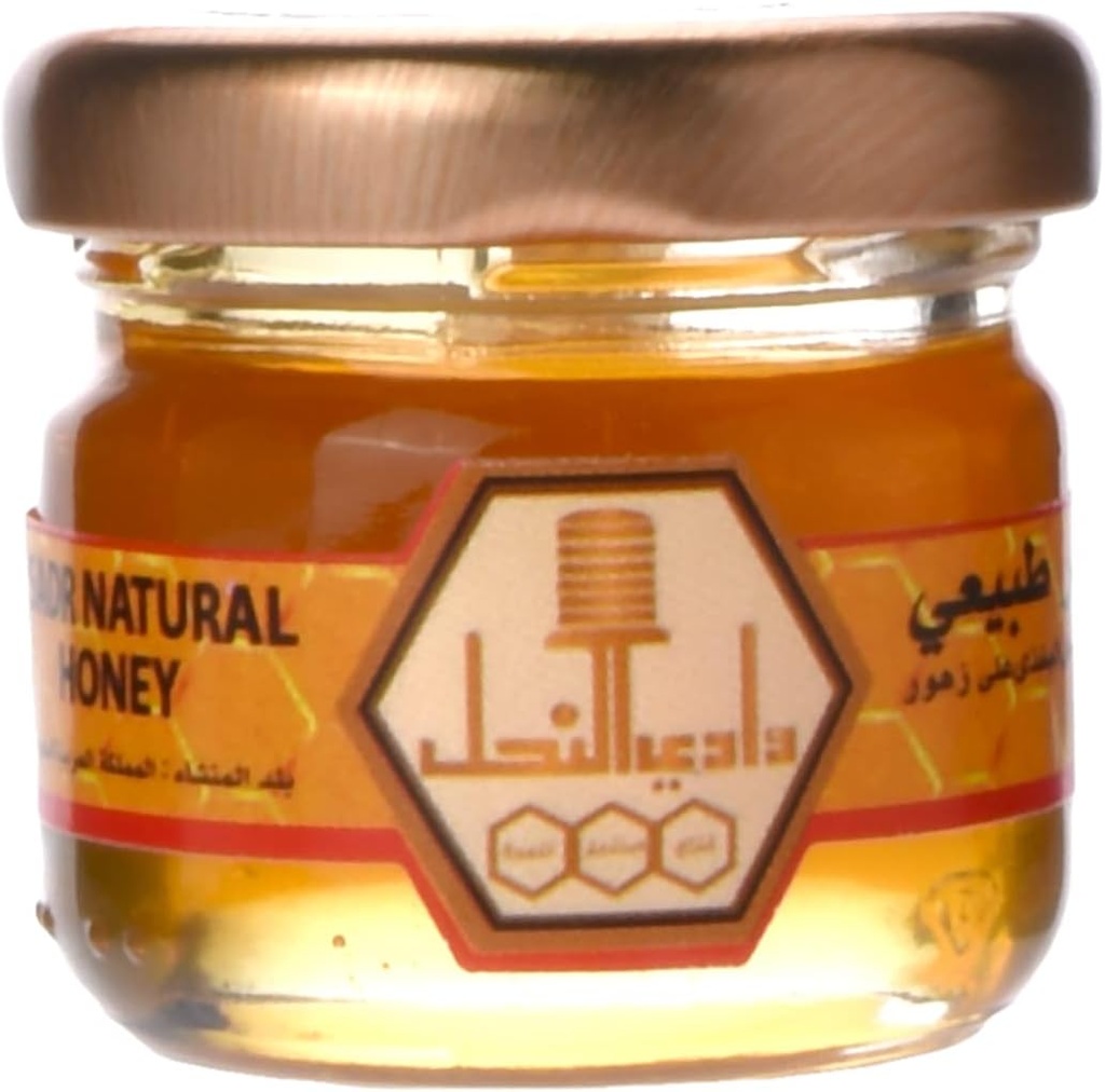 Sadr Khargi Honey Pure 6g