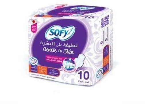 [28070] Sofy Antibacterial Large 10 Pads