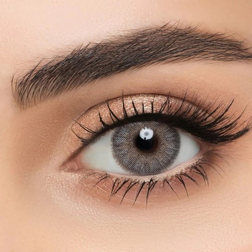 [28554] Lensme Gray 2 lenses