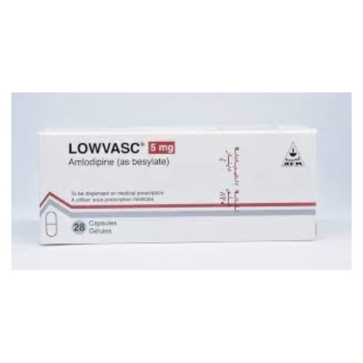 [11712] Lowvasc 5mg Capsules 28