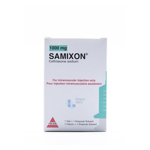 [27051] Samixon Im 1000mg 1vial